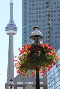 IMG_1723-600