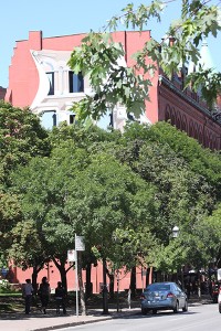 IMG_1724-600