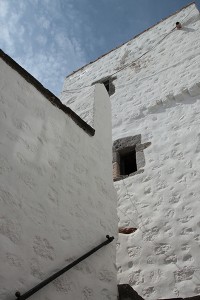 IMG_6356-600