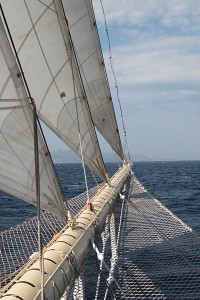 IMG_6392-600