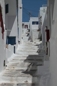 IMG_6456-600